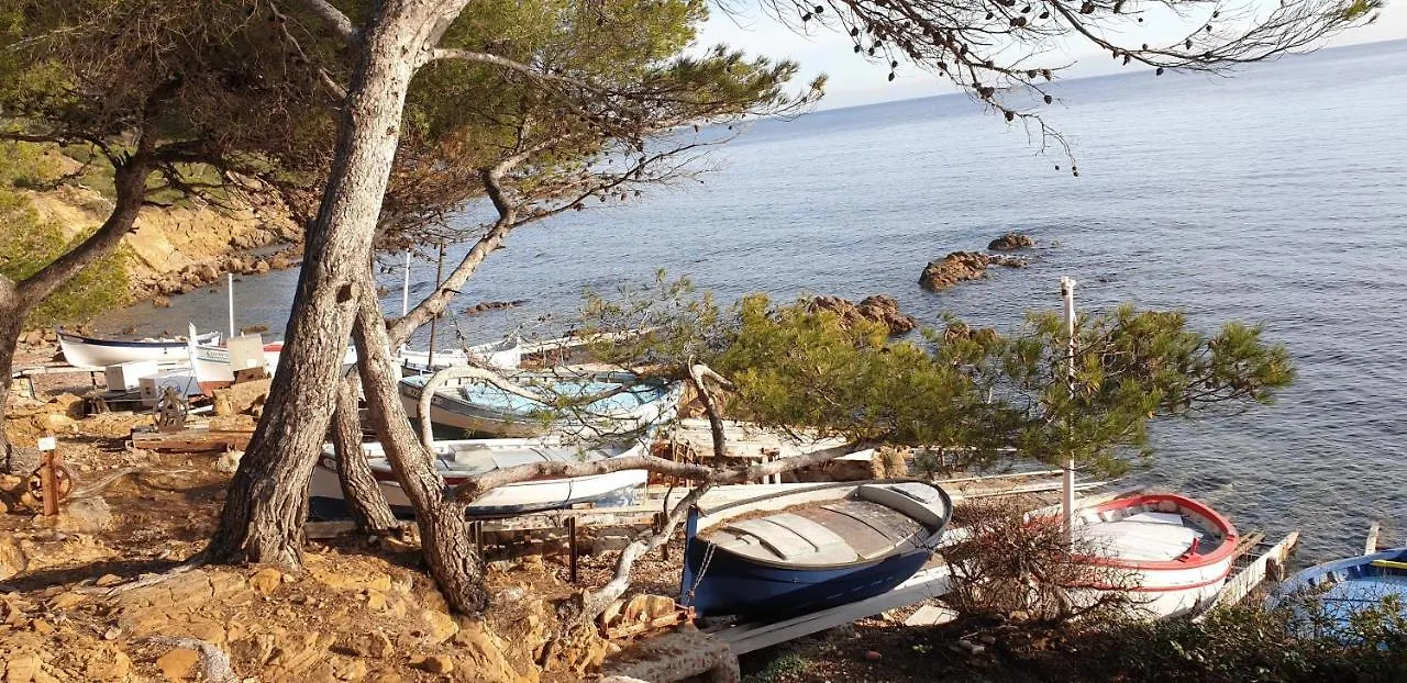 Bed & Breakfast Chambres D'Hotes Chez Pat Et Nanou Six-Fours-les-Plages